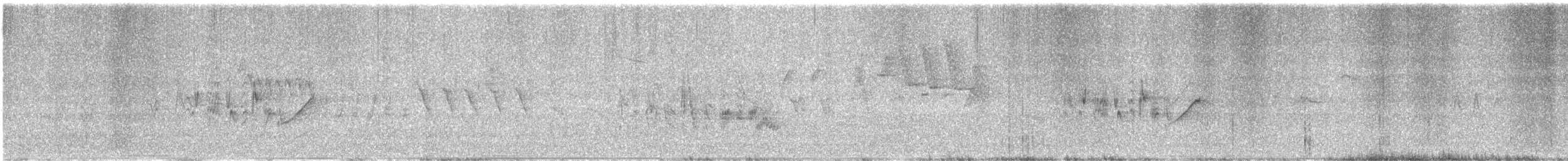 Віреон короткокрилий (підвид pusillus) - ML617629182