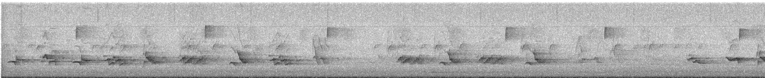 American Robin - ML617630289