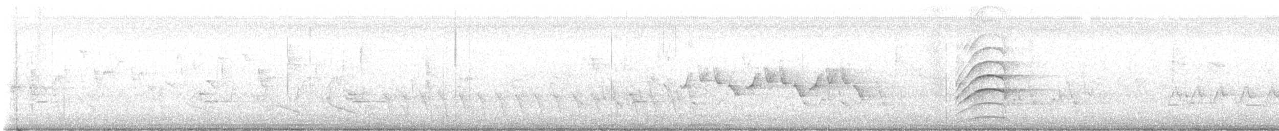 Büyük Kiskadi Tiranı - ML617630570
