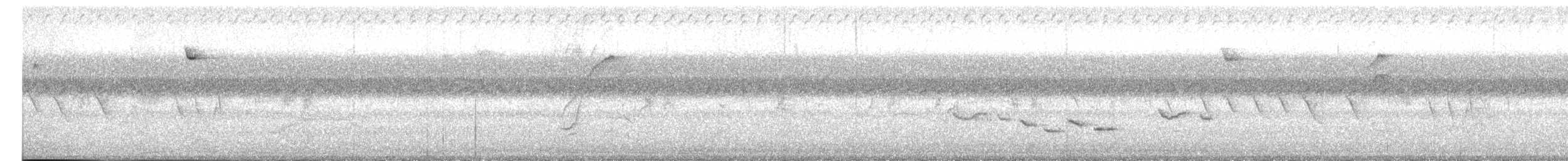 Troglodyte à poitrine blanche - ML617635967