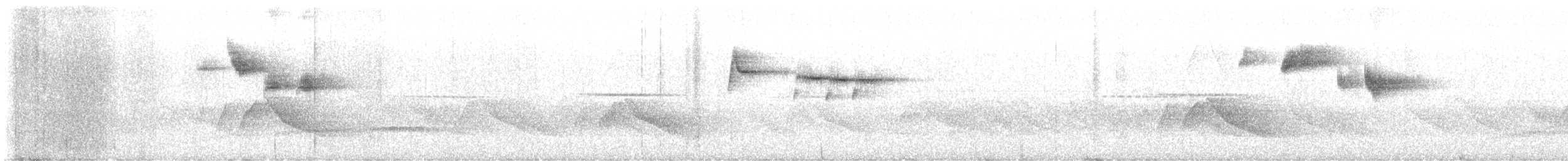 Снежнобровая мухоловка - ML617635973