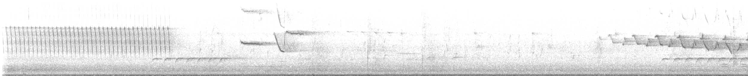 Yellow-throated Warbler - ML617636005