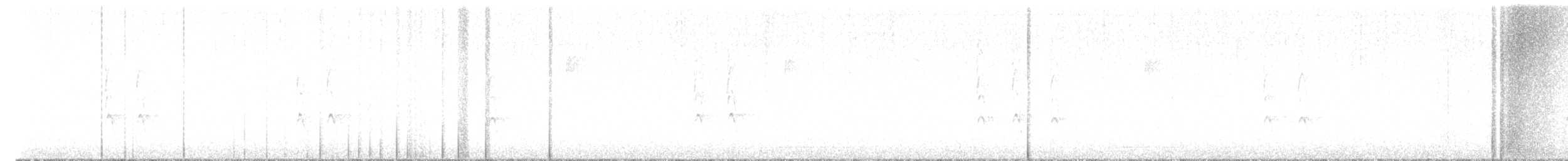 střízlík kanadský - ML617638881