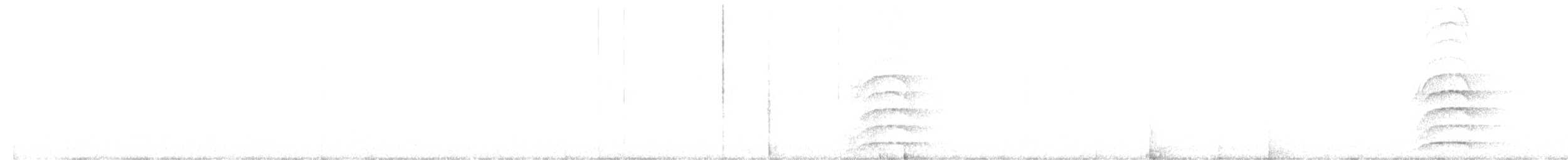 Büyük Kiskadi Tiranı - ML617639718
