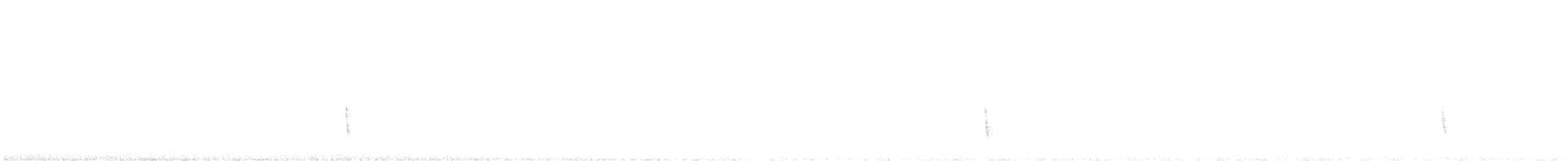 Дрізд-короткодзьоб плямистоволий - ML617639768