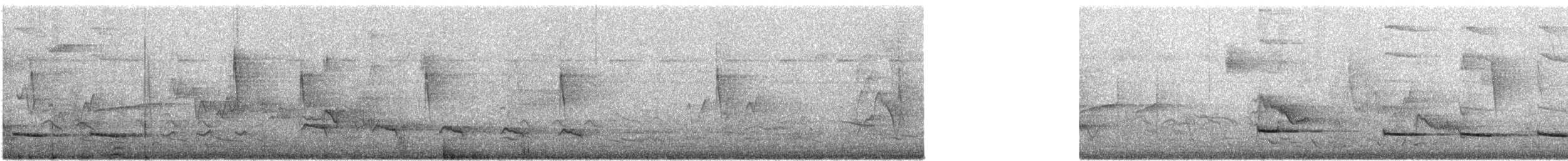Graubrust-Ameisendrossel [hoffmanni-Gruppe] - ML617639958
