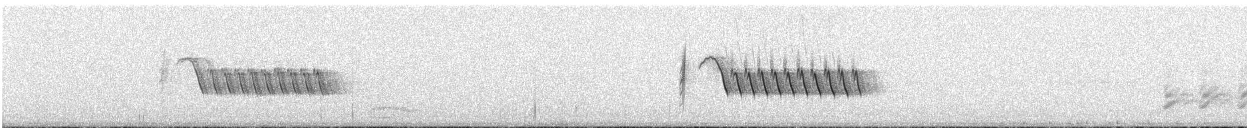 Bewick's Wren - ML617644317