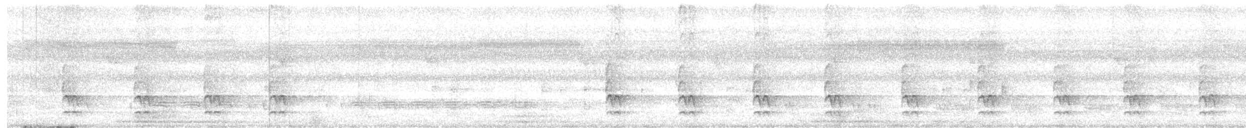 Laced Woodpecker - ML617647594