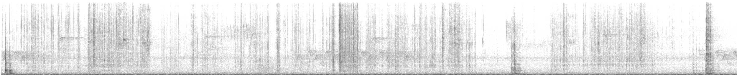 indianerspett (villosus gr.) - ML617648161