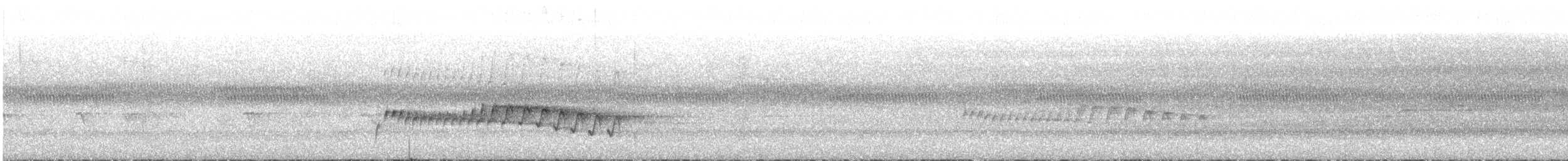Gray-bellied Wren-Babbler - ML617648892