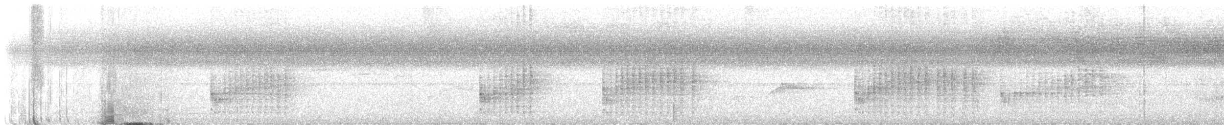 Troglodyte à calotte noire - ML617649853