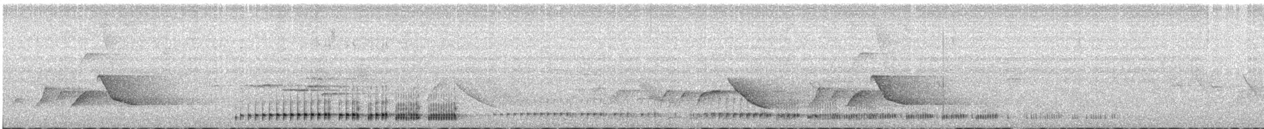 Белоухая сибия - ML617649994
