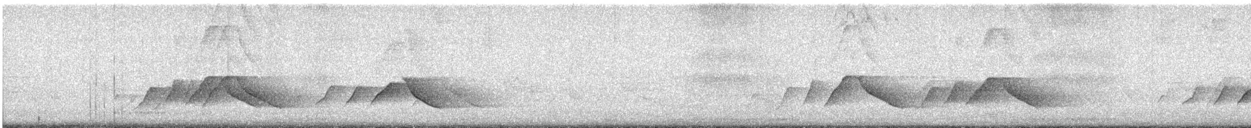Белоухая сибия - ML617650144