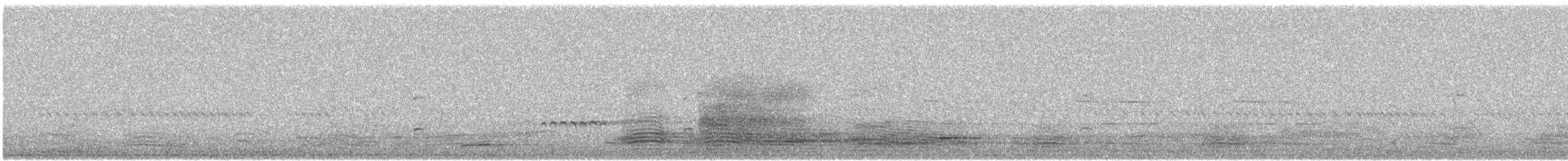 Ойсея плямиста - ML617650438
