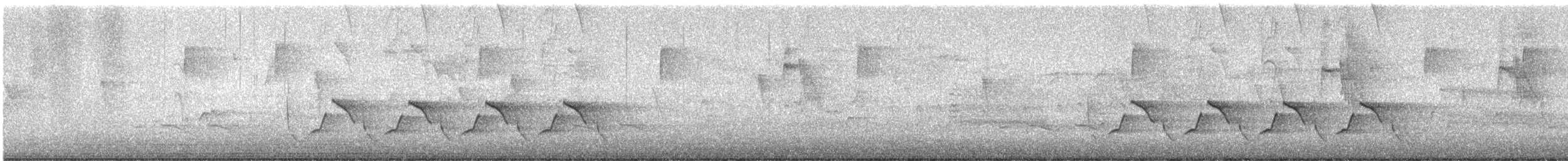Carolina Wren - ML617652584