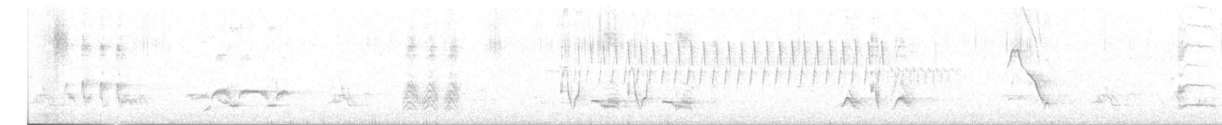 Brown Thrasher - ML617653434