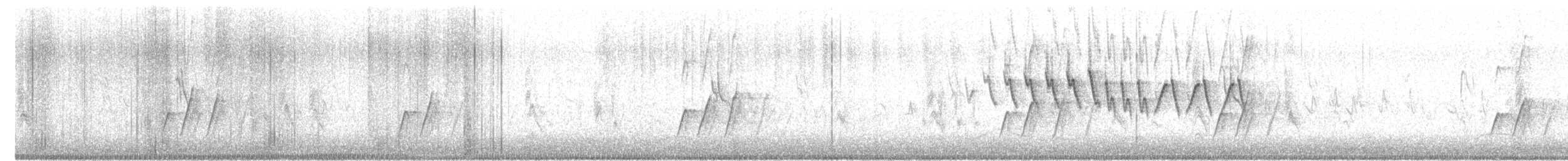 Curve-billed Thrasher - ML617653723