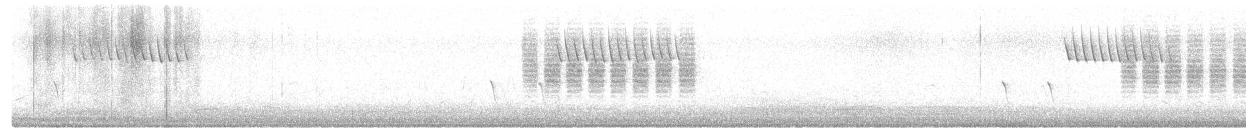 Black-tailed Gnatcatcher - ML617653790