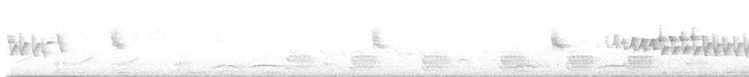 Белокрылая горлица - ML617654321