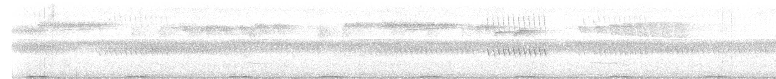 holub černobradý - ML617654801