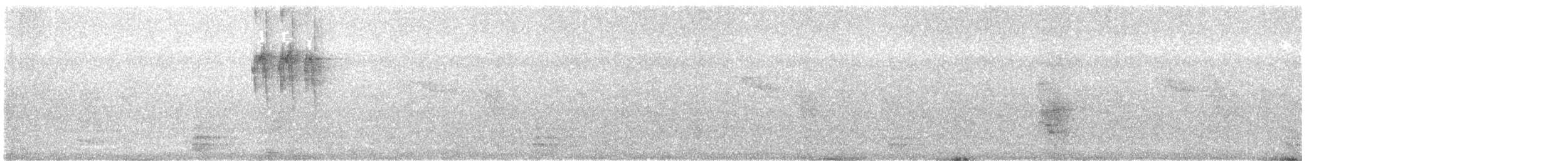 skarlagenkronet flaggermuspapegøye - ML617656201