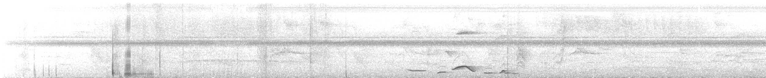 Чернобрюхий крапивник - ML617656584