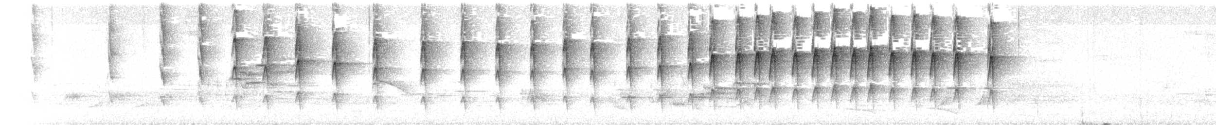 Ockerbrillen-Blattspäher - ML617659541