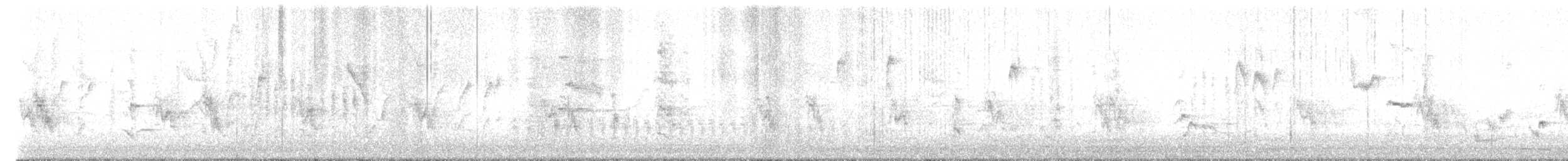 Пересмішник сірий - ML617667111