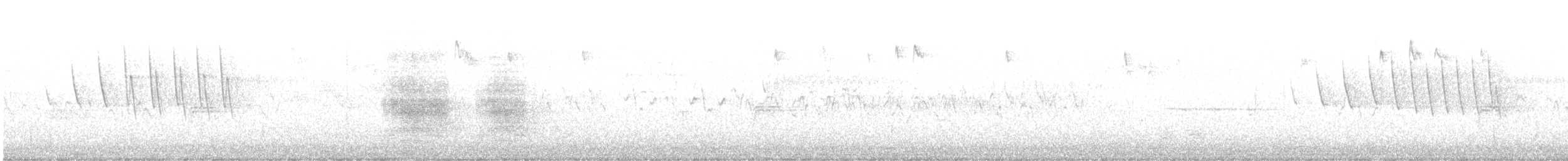 Wilson's Warbler - ML617671656