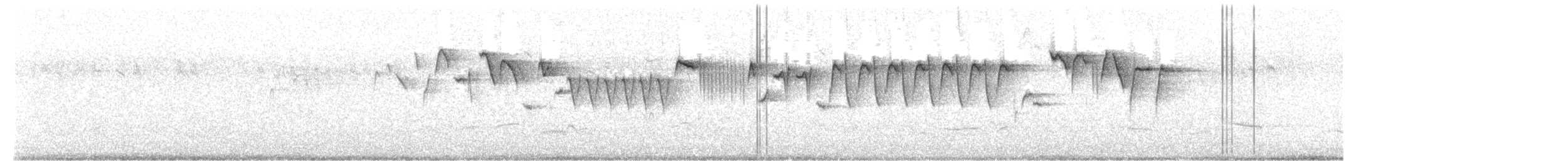 גדרון מובהק - ML617671833