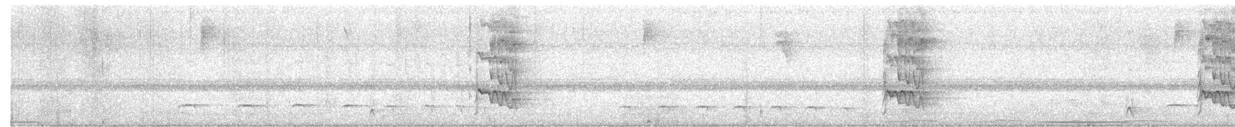 Olivgrau-Ameisenvogel - ML617673462