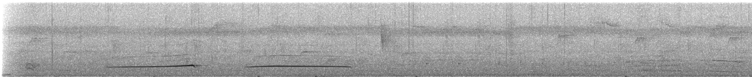 Barred Puffbird - ML617685516