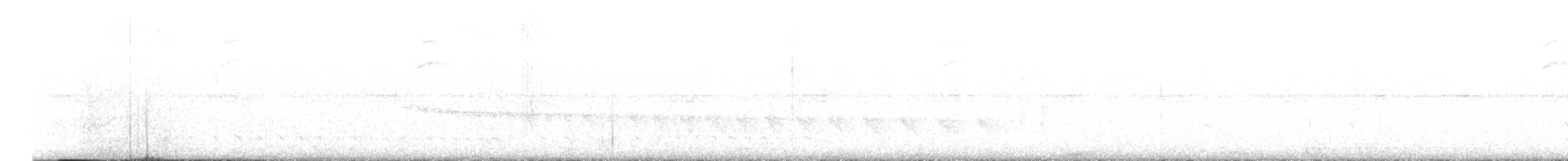 Grauband-Ameisenvogel - ML617687035