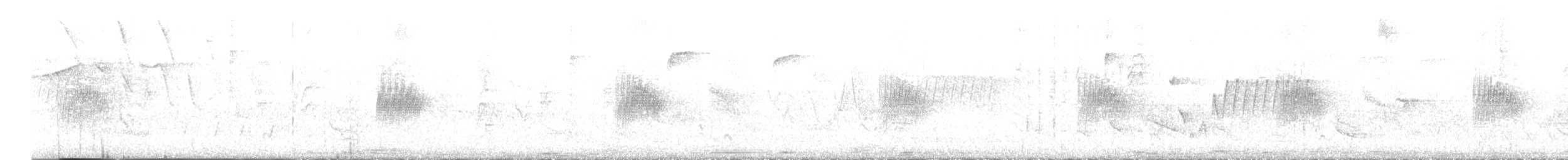 Güneyli Sert Kanatlı Kırlangıç - ML617687203
