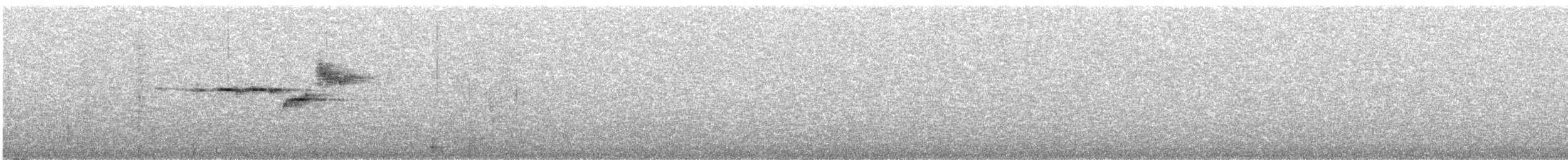 Black-throated Green Warbler - ML617687788