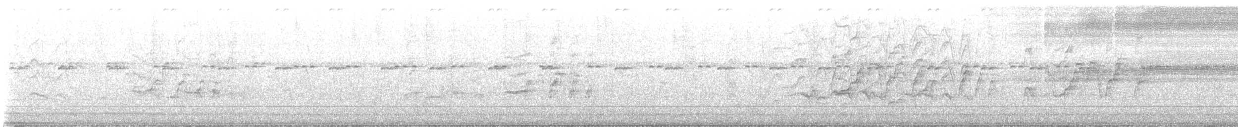 Kara Karınlı Islıkçı Ördek - ML617688405