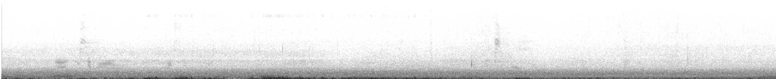 leskot modrošedý [skupina obscura] - ML617688593