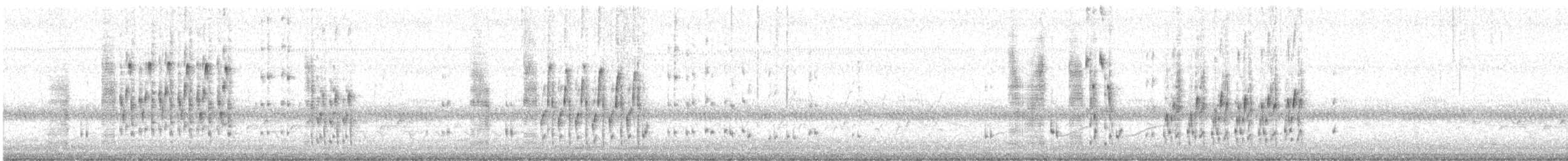 Troglodyte des marais - ML617691198