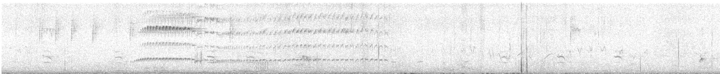 Ash-throated Flycatcher - ML617693043