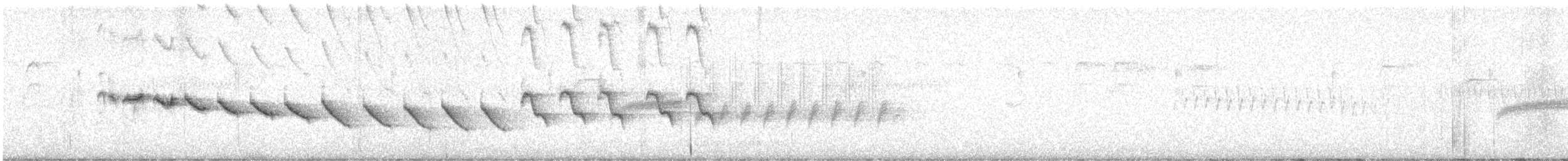 Canyon Wren - ML617693072