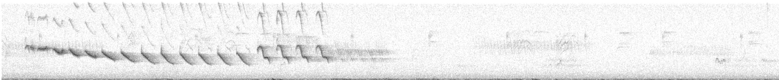 Canyon Wren - ML617693073