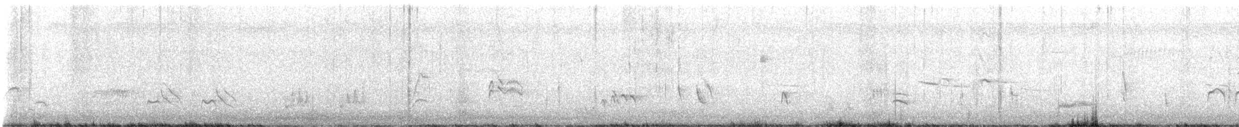 datel zlatočelý - ML617693289