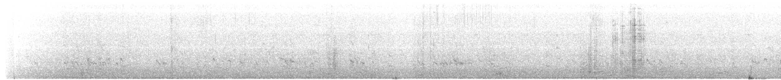 Kara Karınlı Kumkuşu - ML617694859