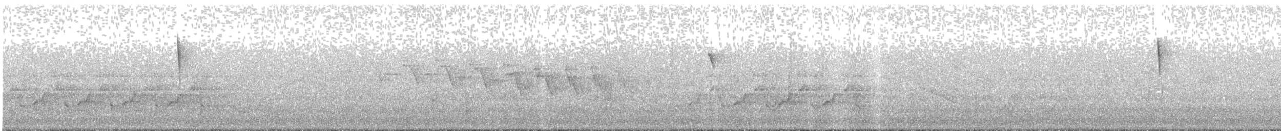 Northern Parula - ML617695411