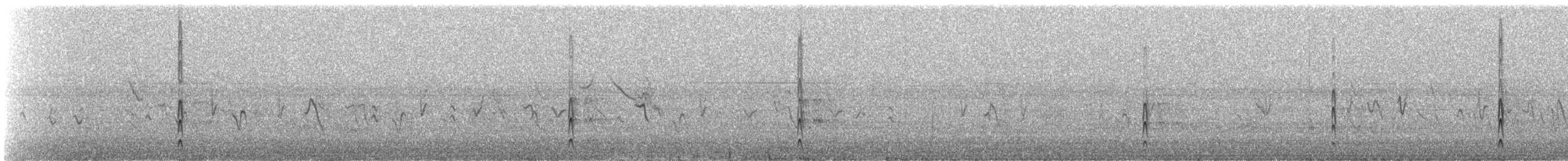 Schmalschnabel-Königstyrann - ML617695794