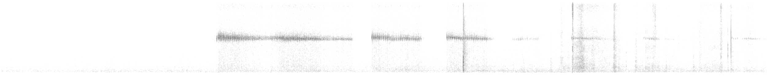 Широкохвостый колибри - ML617696319