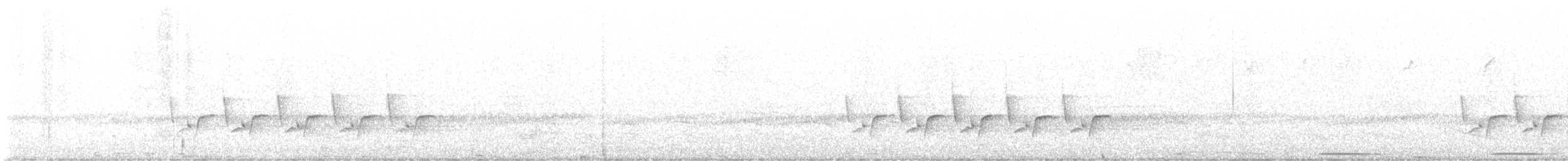 Karolina Çıtkuşu - ML617696341