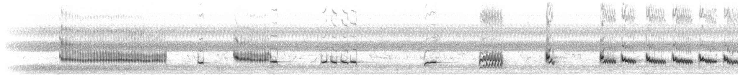 Northern Mockingbird - ML617697531