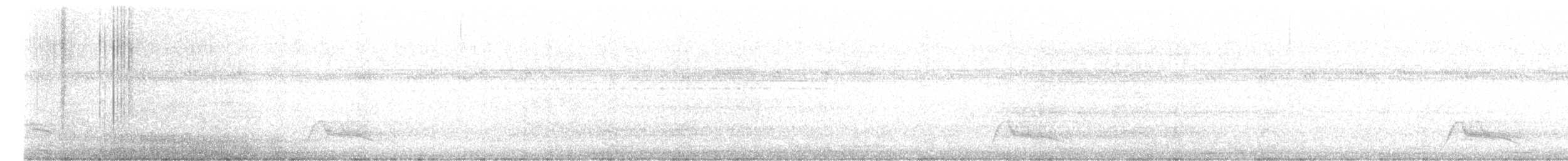 Pauraquenachtschwalbe - ML617698794