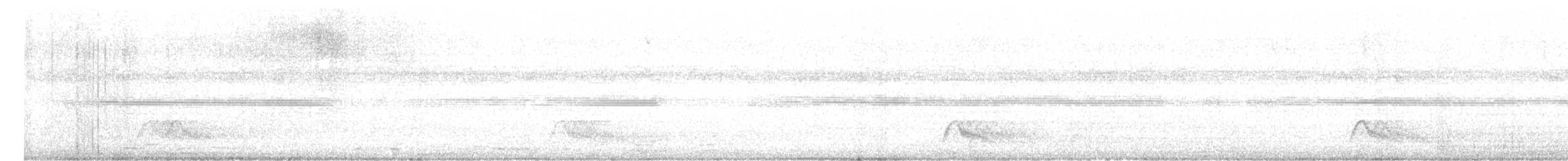 Pauraquenachtschwalbe - ML617698803